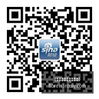 独家法国国,家队义赛大,齐达内力挽,熊猫体育,熊猫体育赛事,赛事分析