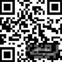 战队新版本,策略,备战赛事成,熊猫体育,熊猫体育赛事,赛事分析