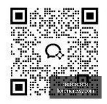 红星电竞新,品亮相,科技赋能玩,熊猫体育,熊猫体育赛事,赛事分析